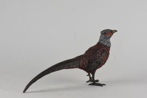 COLD PAINTED AUSTRIAN BRONZE FIGURE OF A PHEASANT - ADDITIONAL PHOTO 6
