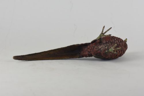 COLD PAINTED AUSTRIAN BRONZE FIGURE OF A PHEASANT - ADDITIONAL PHOTO 7
