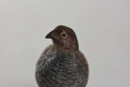 COLD PAINTED AUSTRIAN BRONZE FIGURE OF A PARTRIDGE - ADDITIONAL PHOTO 3