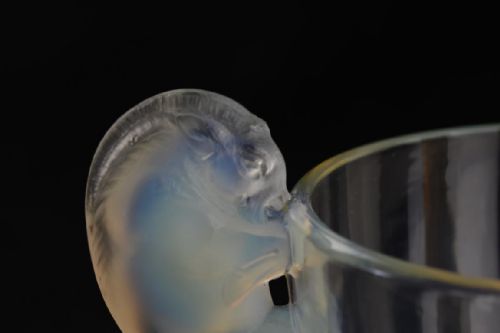 RENE LALIQUE BELIERS OPALESCENT GLASS VASE - ADDITIONAL PHOTO 3