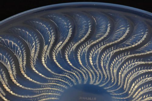 RENE LALIQUE ACTINIA PLATE - ADDITIONAL PHOTO 3