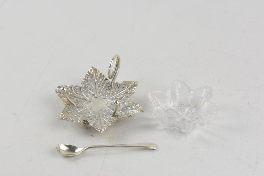 A pair of Aesthetic Period silver salt cellars with leaf-shaped bases, clear glass lotus liners, matching silver spoons, housed in a fitted velvet presentation case. View III