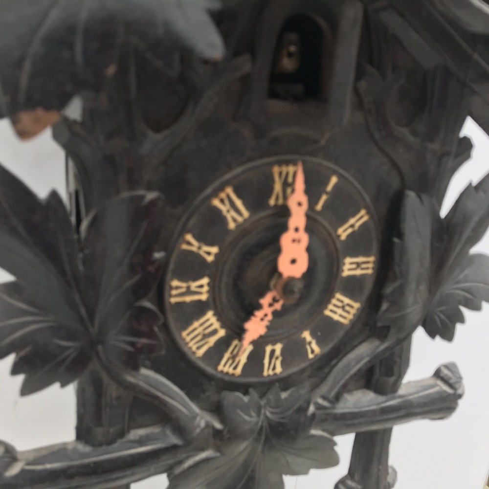 Cuckoo clock  View V