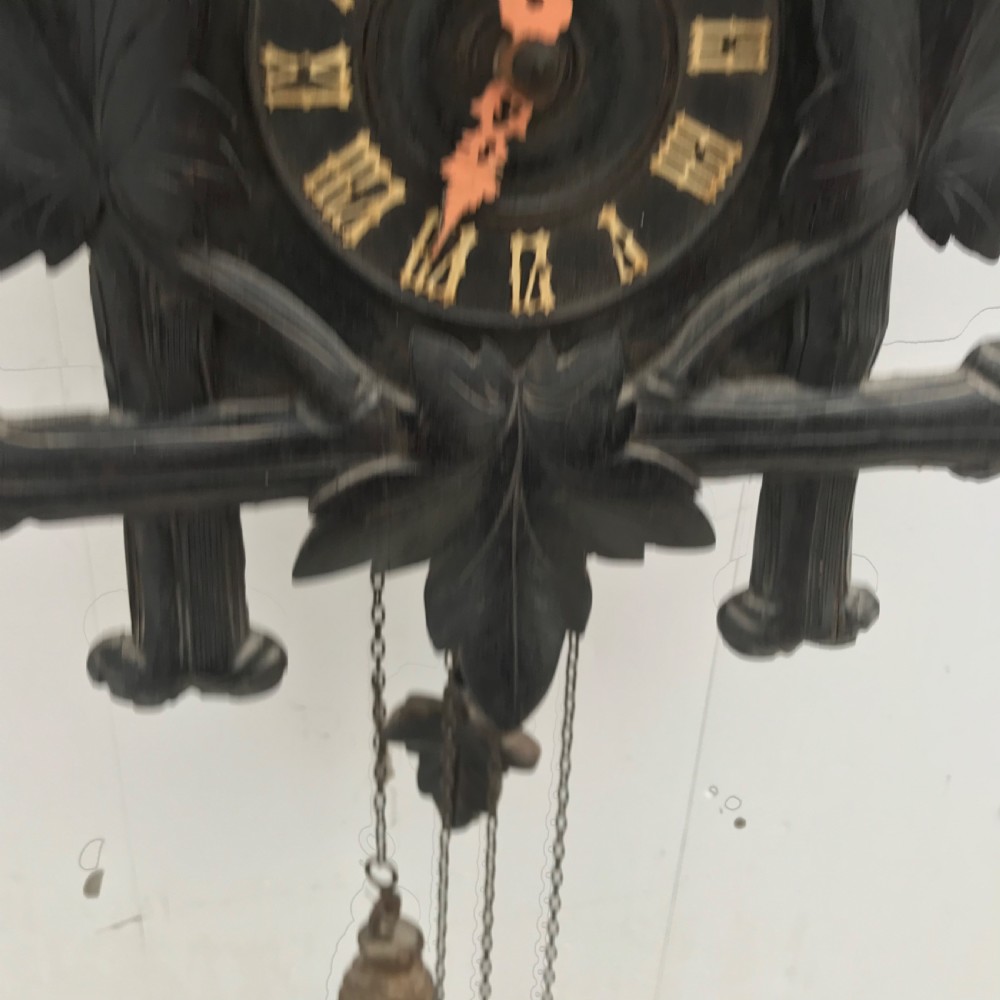 Cuckoo clock  View VII