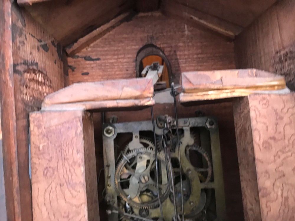 Cuckoo clock  View XV
