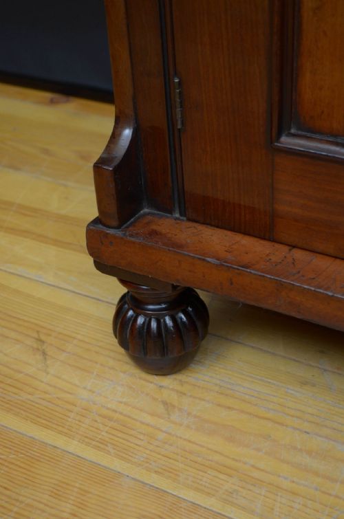 WILLIAM IV WATERFALL BOOKCASE IN MAHOGANY - ADDITIONAL PHOTO 7