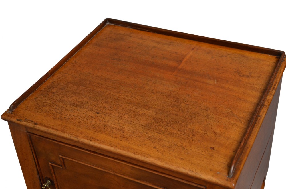 Fine Regency Bedside Cabinet in Mahogany View III