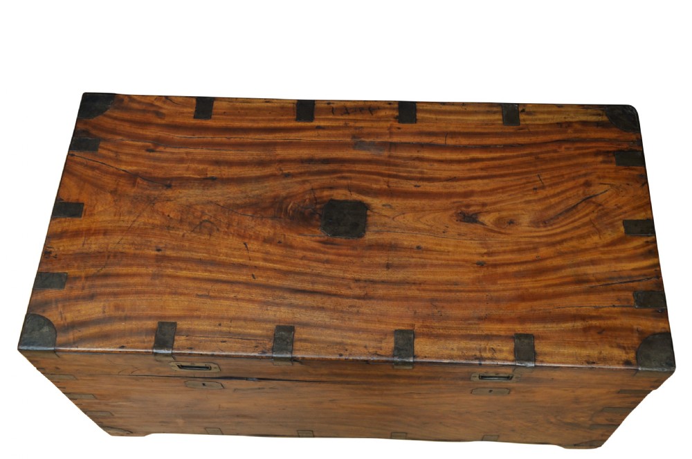 Extra Large 19th Century Camphor Wood  Campaign Trunk View IV