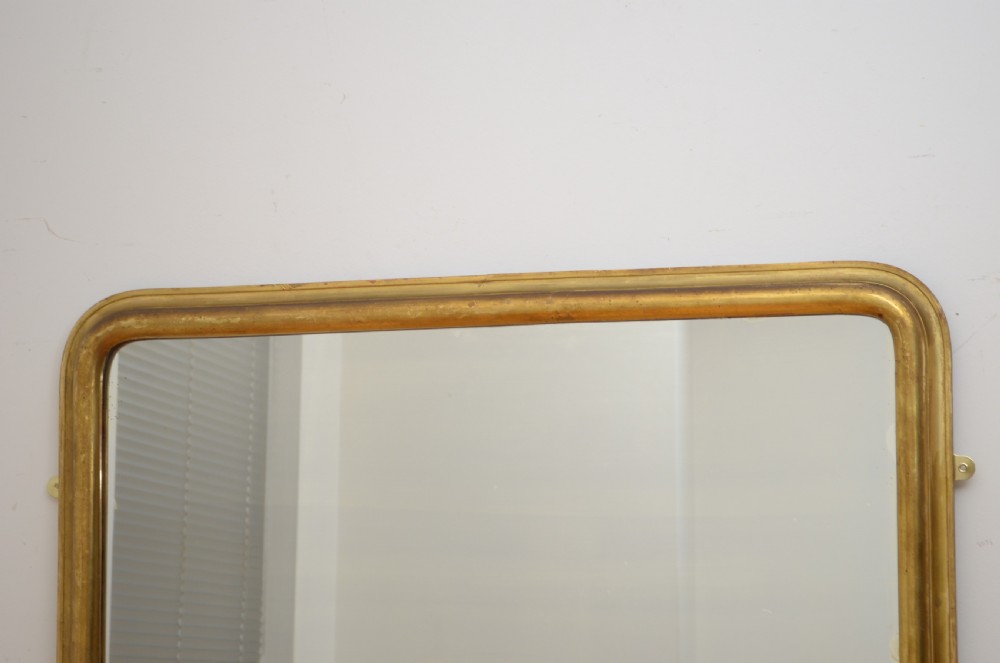 Early XIXth Century Floor Standing / Wall Mirror H165cm View X