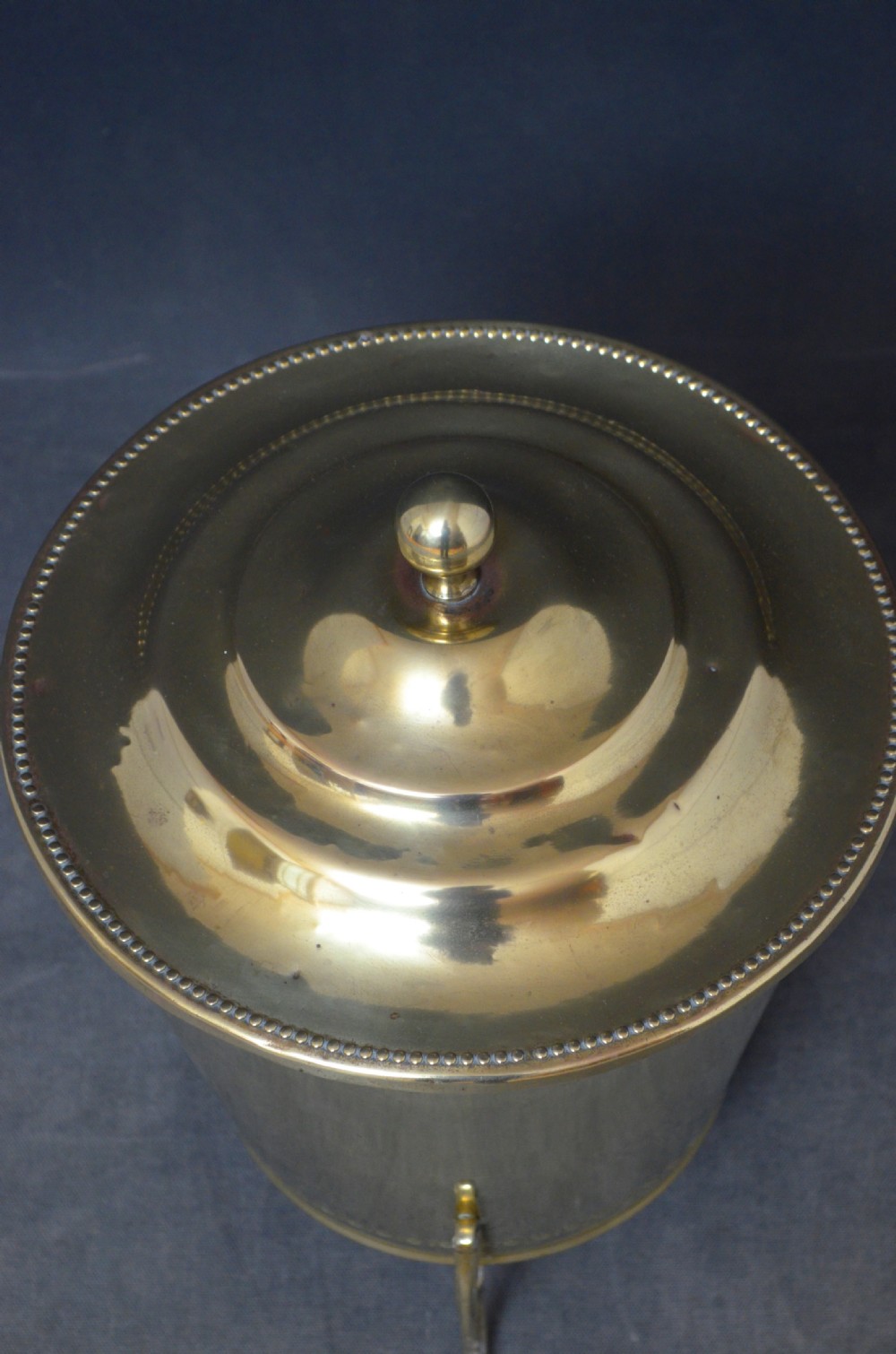 Edwardian Brass Planter Coal Bucket Coal Bin View IV