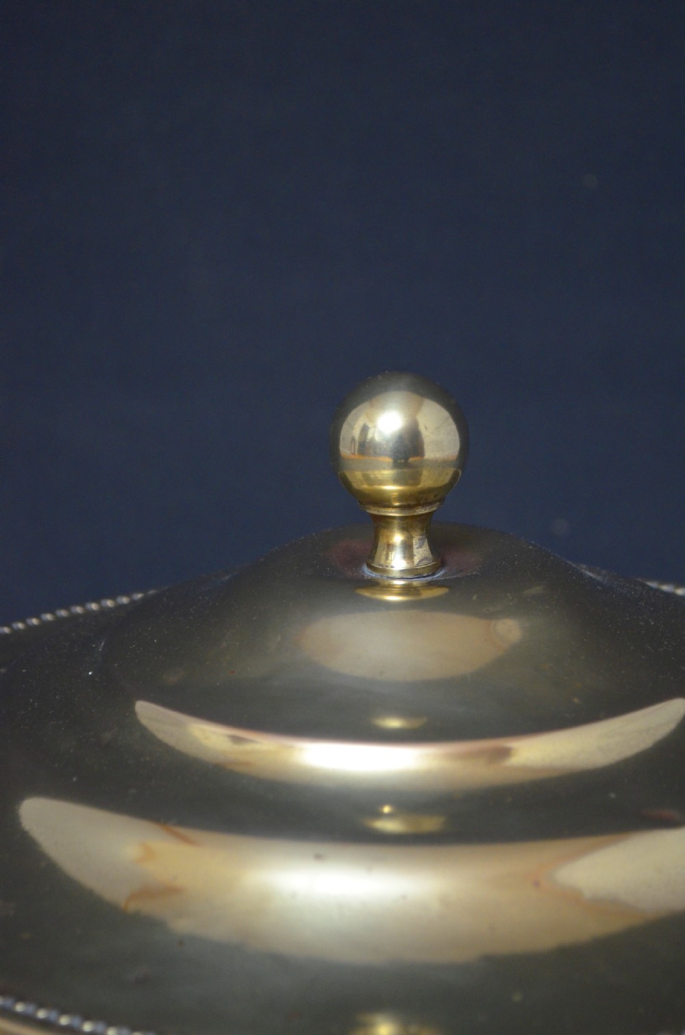 Edwardian Brass Planter Coal Bucket Coal Bin View V