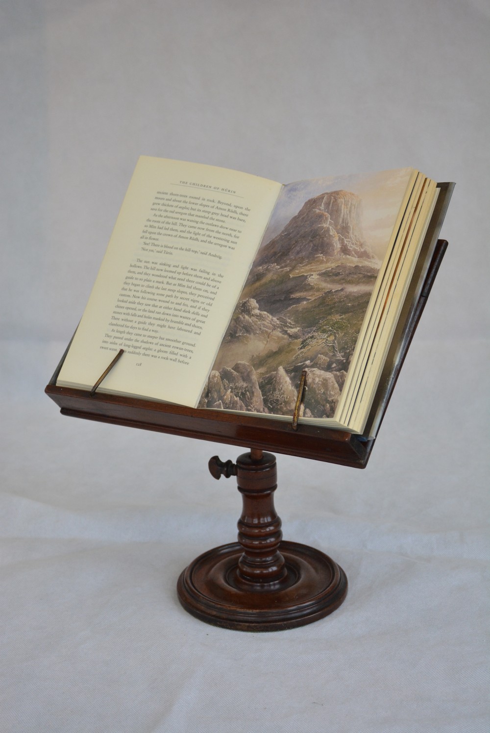 Early 19th Century Reading Stand Book Stand In Mahogany
 View XIV