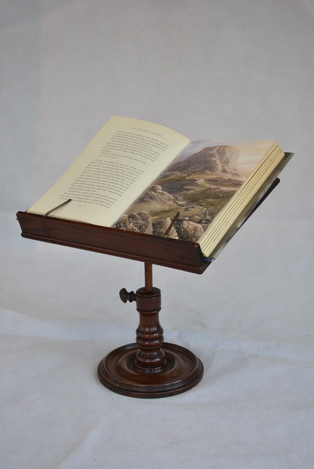 Early 19th Century Reading Stand Book Stand In Mahogany
 View XV