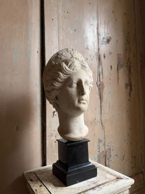 RARE 17TH CENTURY MARBLE HEAD OF JUNO ITALIAN SCULPTURE - ADDITIONAL PHOTO 2