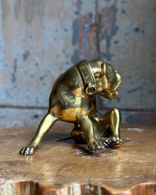 A RARE 16TH CENTURY GILT BRONZE SEATED DOG - ADDITIONAL PHOTO 3