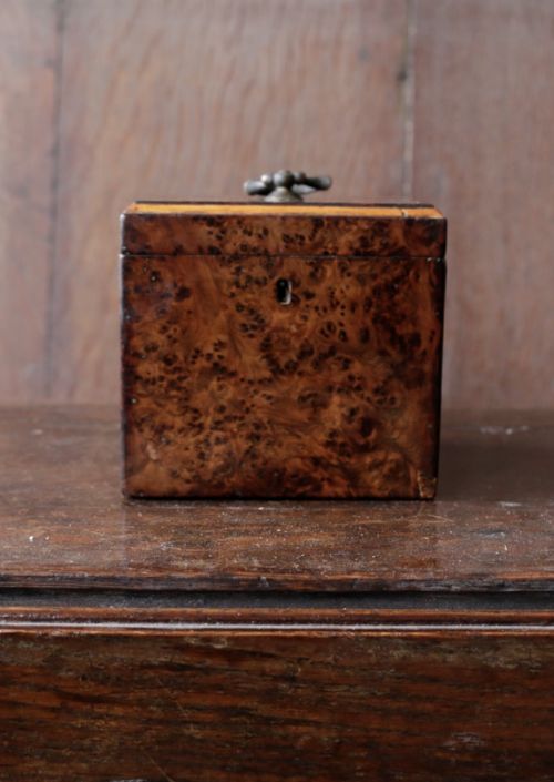 GEORGE III BURR YEW CUBE TEA CADDY