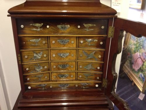 Victorian Mahogany and Rosewood Collectors Cabinet Inlaid with Mother of Pearl