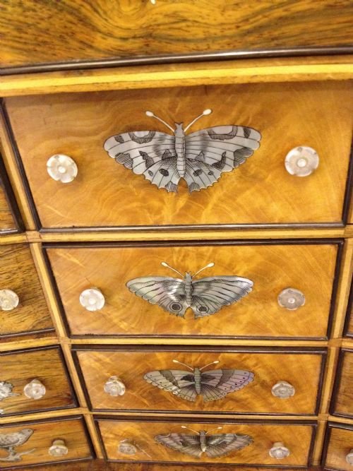 Victorian Mahogany And Rosewood Collectors Cabinet Inlaid With Mother Of Pearl View II