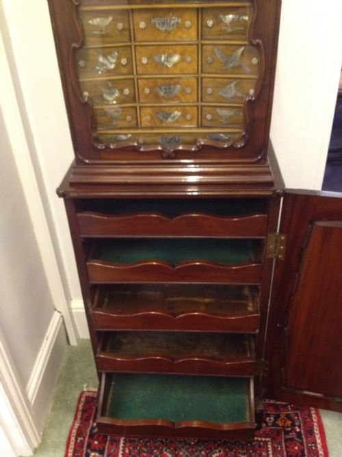 Victorian Mahogany And Rosewood Collectors Cabinet Inlaid With Mother Of Pearl View IV