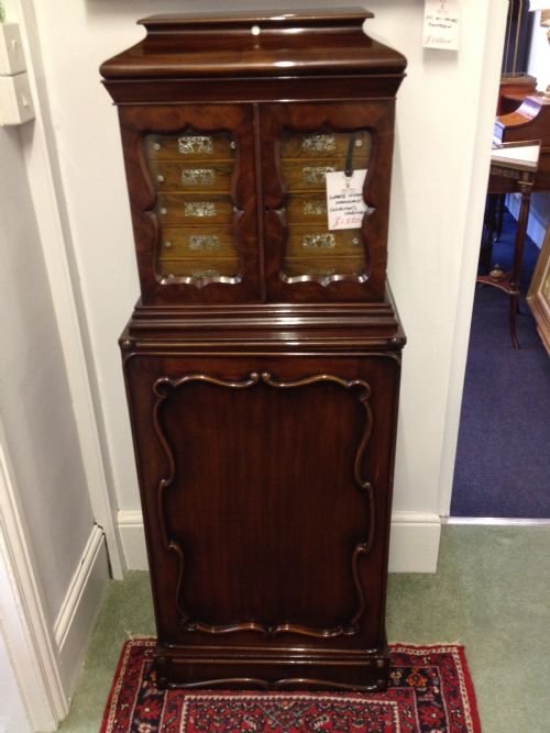 Stunning Victorian Mahogany Collectors Cabinet View III