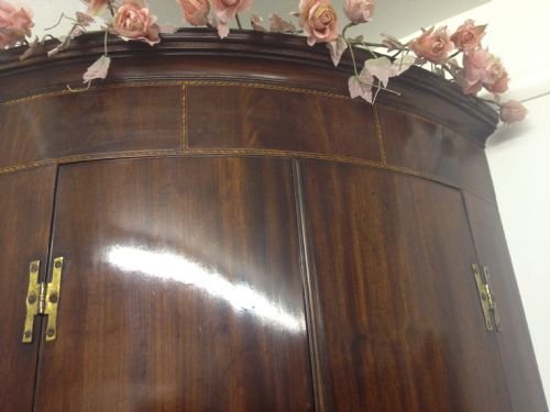 Georgian Mahogany Bow Fronted Corner Cupboard View III