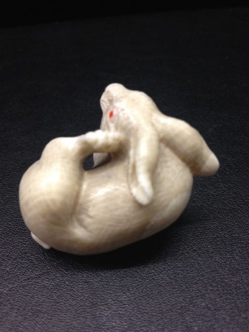 LOVELY QUALITY JAPANESE IVORY NETSUKE HARE MEIJI PERIOD 1868-1912 View III