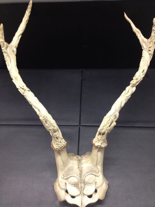 Superb Quality Chinese Cantonese Carved Antlers