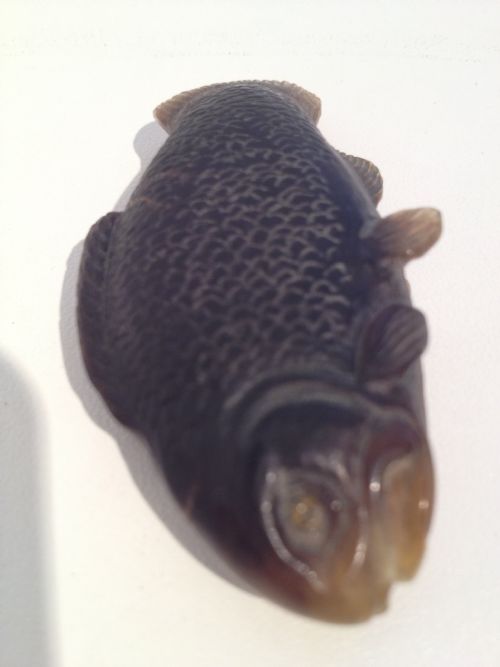 VERY RARE JAPANESE BUFFALO HORN NETSUKE MANNER OF 