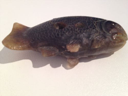 VERY RARE JAPANESE BUFFALO HORN NETSUKE MANNER OF 
