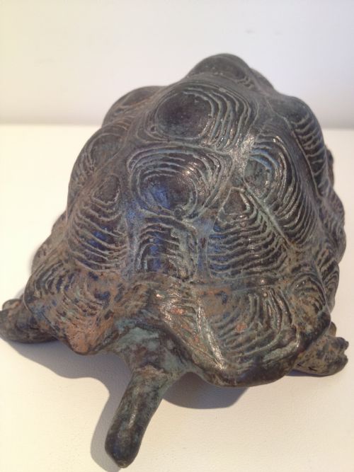 LOVELY JAPANESE BRONZE TORTOISE MEIJI PERIOD 1868-1912 View IV