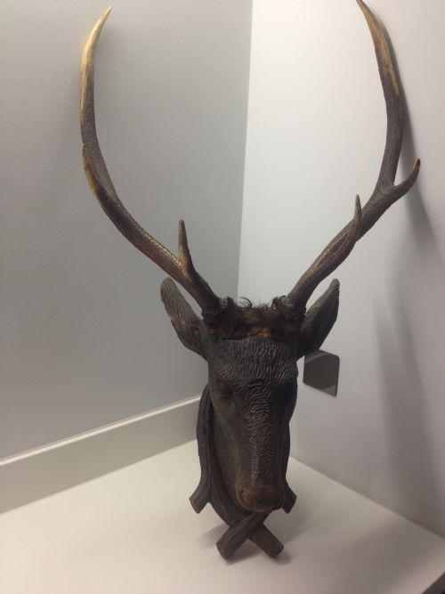 fig 1. VICTORIAN CARVED BLACK FOREST DEERS HEAD WITH REAL ANTLERS