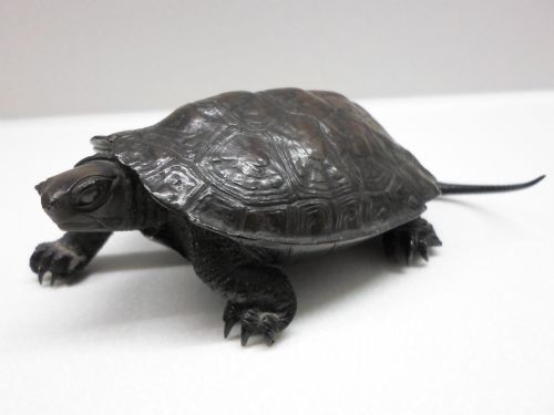 Fantastic Quality Japanese Bronze Okimono Terrapin Signed Meiji Period.