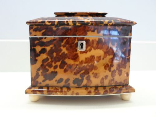 fig 1. SUPERB REGENCY TORTOISESHELL & IVORY TEA CADDY