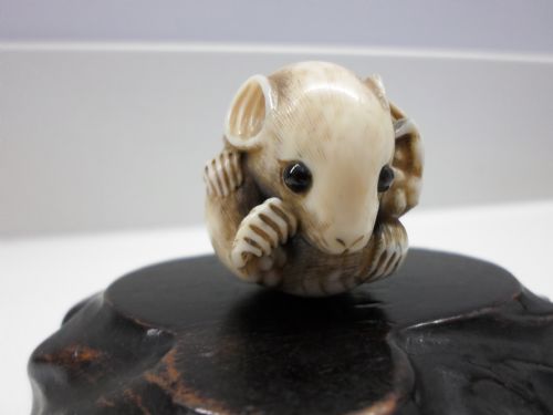 fig 1. FINE JAPANESE IVORY NETSUKE RODENT SIGNED RANTEI