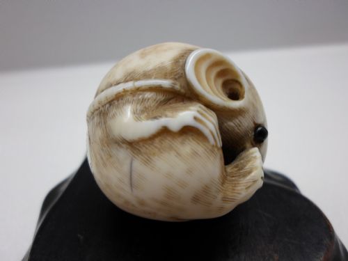 fig 2. FINE JAPANESE IVORY NETSUKE RODENT SIGNED RANTEI
