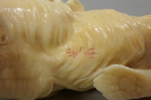 A CHARMING JAPANESE IVORY OKIMONO OF A PEKINGESE DOG - ADDITIONAL PHOTO 7