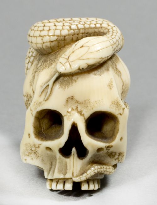 a good japanese meiji period ivory skull and snake netsuke - CATEGORY: ANTIQUE MISCELLANEOUS - DATED 1890