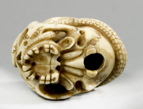 A GOOD JAPANESE MEIJI PERIOD IVORY SKULL AND SNAKE NETSUKE - ADDITIONAL PHOTO 7