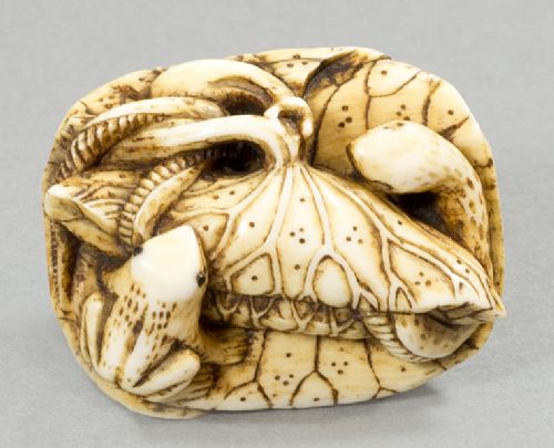 A GOOD JAPANESE MEIJI PERIOD IVORY NETSUKE FROG AND SNAKE - ADDITIONAL PHOTO 3