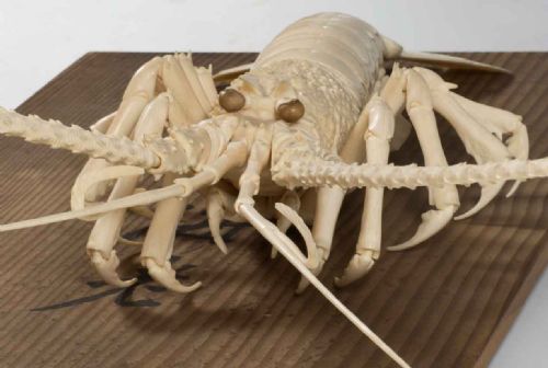 OUTSTANDING JAPANESE FULLY ARTICULATED IVORY LOBSTER OKIMONOSAKURAI SOSAI - ADDITIONAL PHOTO 4