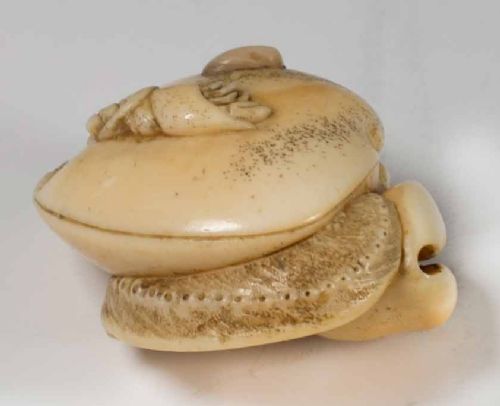 A CHARMING JAPANESE IVORY OCTOPUS AND SHELL NETSUKE BY CHOKUSAI - ADDITIONAL PHOTO 4