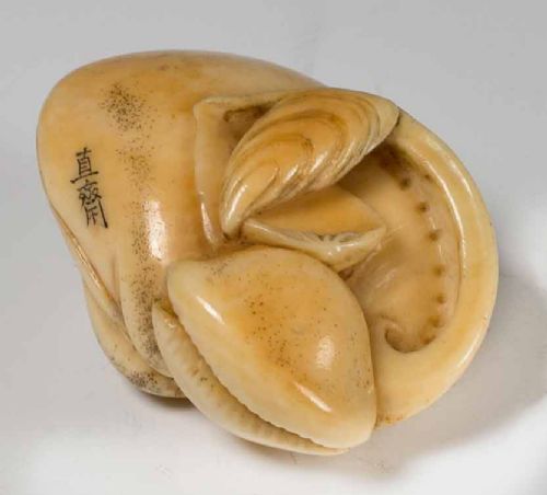 A CHARMING JAPANESE IVORY OCTOPUS AND SHELL NETSUKE BY CHOKUSAI - ADDITIONAL PHOTO 5