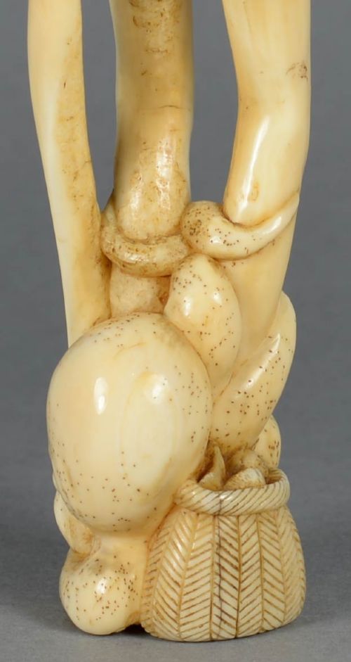 HUMOROUS JAPANESE MEIJI PERIOD WALRUS TUSK OKIMONO ASHINAGA TENAGA TOMICHIKA - ADDITIONAL PHOTO 7