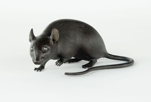 FINE QUALITY JAPANESE BRONZE RAT OKIMONO ARTIST SIGNED - ADDITIONAL PHOTO 1