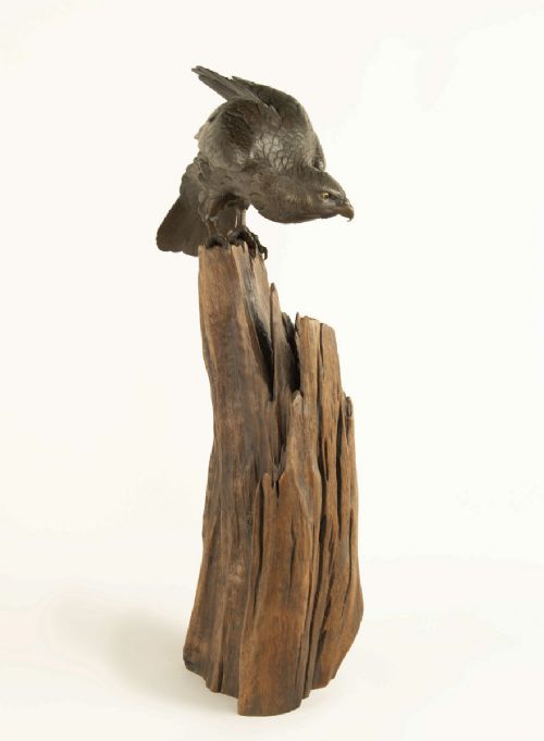 POWERFUL JAPANESE BRONZE HAWK OKIMONO BY SANO TAKACHIKA - ADDITIONAL PHOTO 5