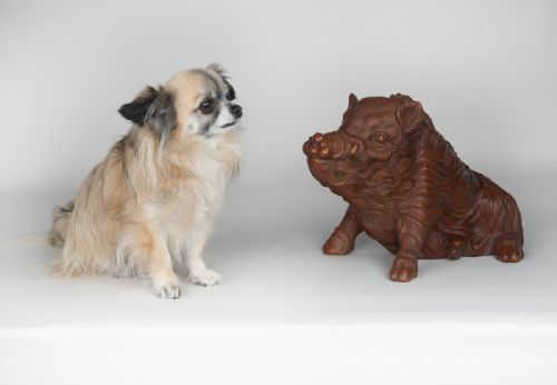 JAPANESE WILD BOAR OKIMONO BY IMPERIAL ARTIST ISHIKAWA KOMEI - ADDITIONAL PHOTO 11