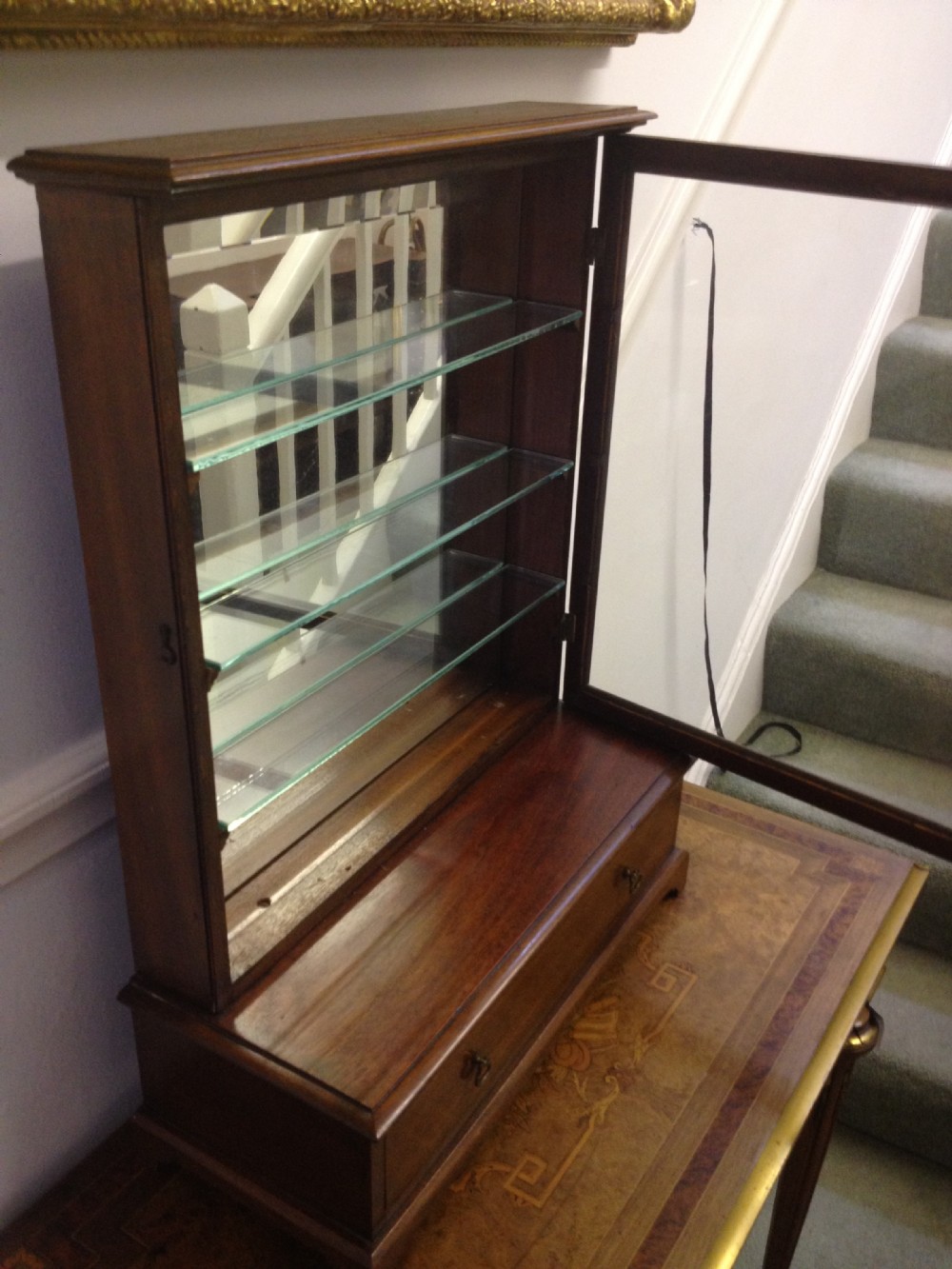 EDWARDIAN SHOP DISPLAY OR COLLECTORS CABINET View III