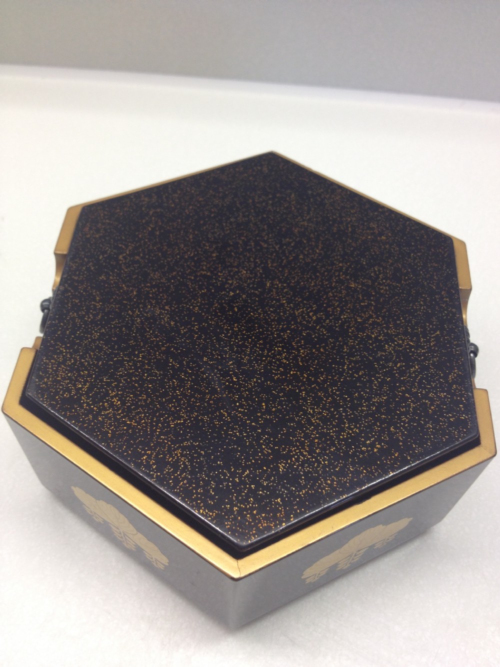 JAPANESE MAKIE LACQUERED BOX AND COVER SILVER HANDLES MEIJI PERIOD View IV
