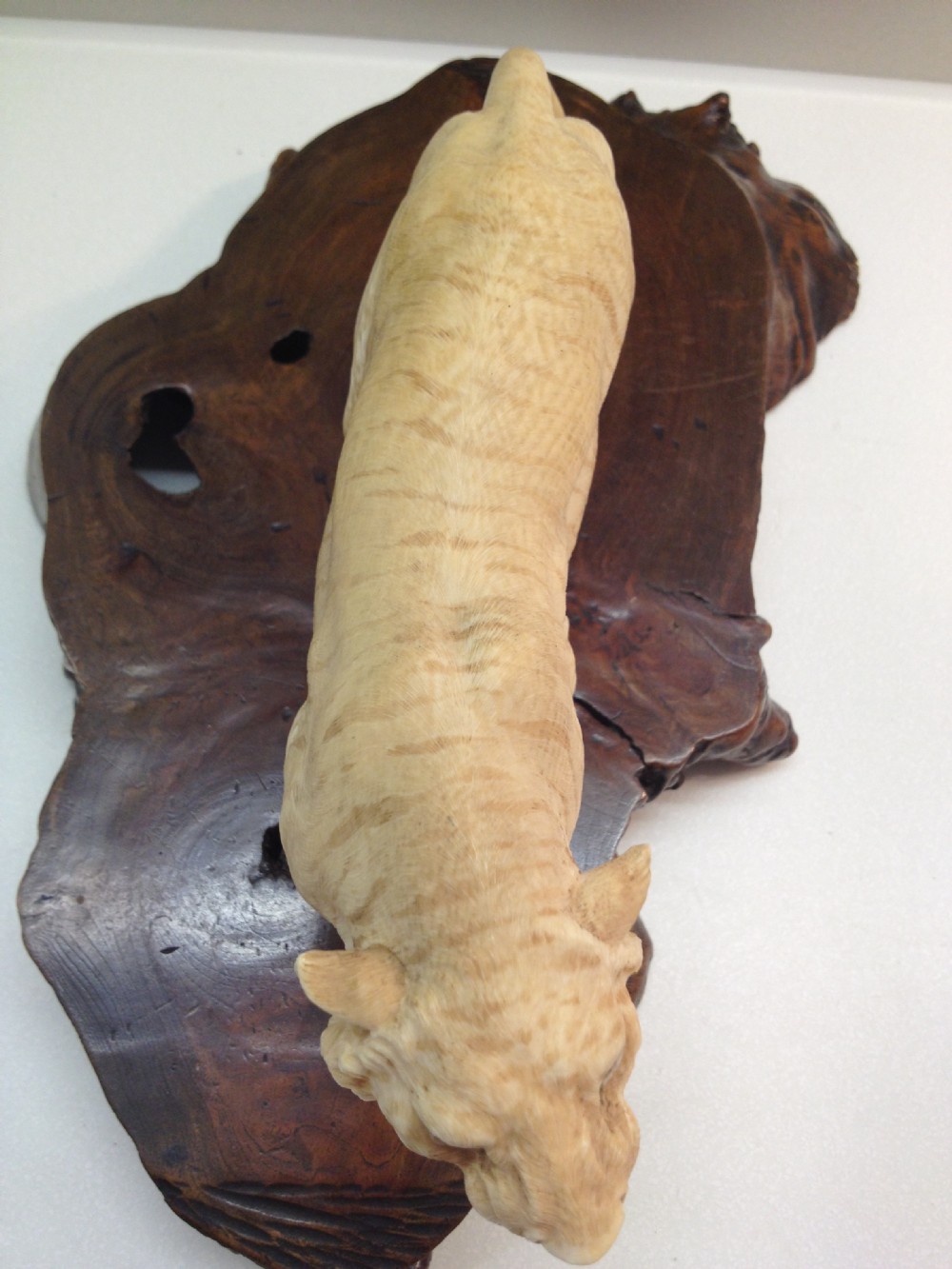 MAGNIFICENT QUALITY LARGE JAPANESE IVORY OKIMONO TIGER MEIJI PERIOD View IV