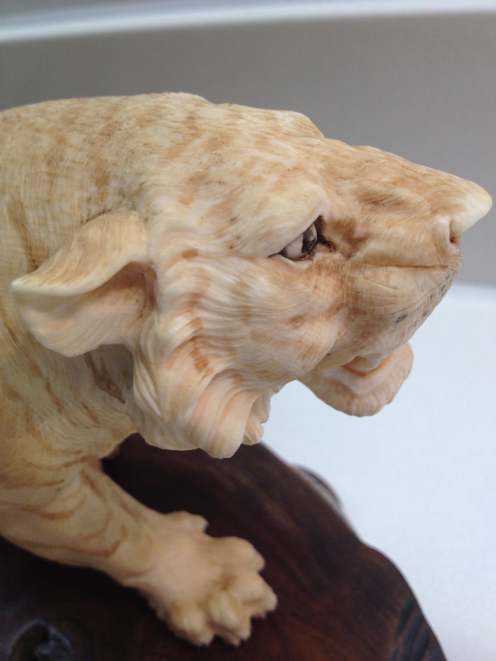 MAGNIFICENT QUALITY LARGE JAPANESE IVORY OKIMONO TIGER MEIJI PERIOD View V